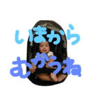 碧人すたんぷ ぱーと2（個別スタンプ：6）