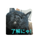 ジジ（個別スタンプ：1）