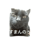 ジジ（個別スタンプ：2）
