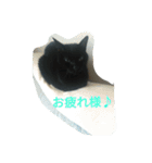 ジジ（個別スタンプ：6）