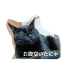 ジジ（個別スタンプ：8）