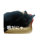 ジジ（個別スタンプ：11）