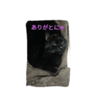 ジジ（個別スタンプ：12）