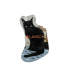 ジジ（個別スタンプ：15）