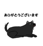 黒い雑種犬（個別スタンプ：4）