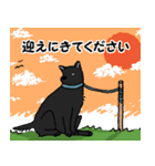 黒い雑種犬（個別スタンプ：6）