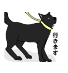 黒い雑種犬（個別スタンプ：14）
