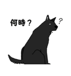 黒い雑種犬（個別スタンプ：16）