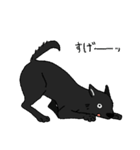 黒い雑種犬（個別スタンプ：19）
