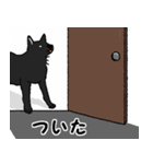 黒い雑種犬（個別スタンプ：20）