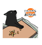 黒い雑種犬（個別スタンプ：23）