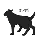黒い雑種犬（個別スタンプ：31）