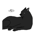 黒い雑種犬（個別スタンプ：36）