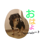 REON17（個別スタンプ：3）