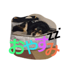 REON17（個別スタンプ：4）