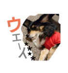 REON17（個別スタンプ：5）