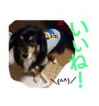 REON17（個別スタンプ：6）
