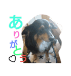 REON17（個別スタンプ：8）