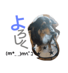 REON17（個別スタンプ：10）