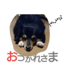 REON17（個別スタンプ：12）