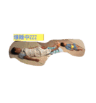 私の可愛い3人の甥っ子のスタンプです（個別スタンプ：1）