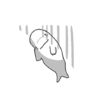 Beluga whale(Thai)（個別スタンプ：14）