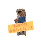 Hana＆Yasu2（個別スタンプ：6）