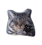 TARO(roundface)（個別スタンプ：4）