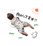 けんちゃんスタンプ❷（個別スタンプ：2）