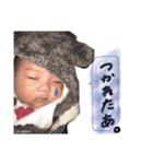 けんちゃんスタンプ❷（個別スタンプ：6）