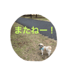 ななちゃんこんにちは（個別スタンプ：5）