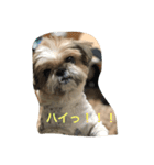 ななちゃんこんにちは（個別スタンプ：6）
