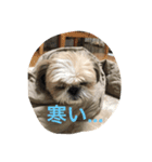 ななちゃんこんにちは（個別スタンプ：7）