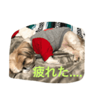 ななちゃんこんにちは（個別スタンプ：8）