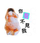 赤ちゃんcと犬（個別スタンプ：5）