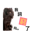 赤ちゃんcと犬（個別スタンプ：7）