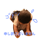 Ryu's everyday life5（個別スタンプ：7）