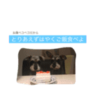 ミニチュアシュナウザーかりんさくら♡（個別スタンプ：5）