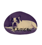 The daily life of Enzo（個別スタンプ：8）