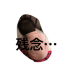 kotothan2（個別スタンプ：5）