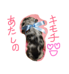 金子ペッズ（個別スタンプ：7）