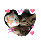 金子ペッズ（個別スタンプ：19）