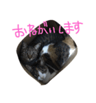 金子ペッズ（個別スタンプ：23）