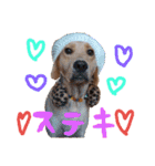 バルしあワールド（個別スタンプ：4）