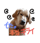 バルしあワールド（個別スタンプ：7）