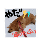 バルしあワールド（個別スタンプ：12）