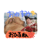 バルしあワールド（個別スタンプ：23）
