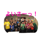 チームよいさーっ！（個別スタンプ：1）