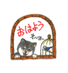 うちの黒柴（個別スタンプ：1）