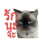 KuKoo（個別スタンプ：20）